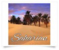 /album/galerie-photos/eliquide-tabac-saharian-alfaliquid-300x255-jpg/