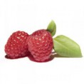 /album/galerie-photos/fruitees-framboise-jpg/