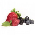 /album/galerie-photos/fruitees-fruits-rouges-jpg/