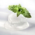 /album/galerie-photos/fruitees-menthe-fraiche-jpg/