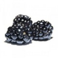 /album/galerie-photos/fruitees-mure-jpg/